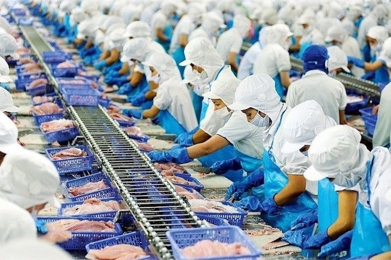 xuat-khau-thuy-san-2234-5741-17244586182581005232354 (1)