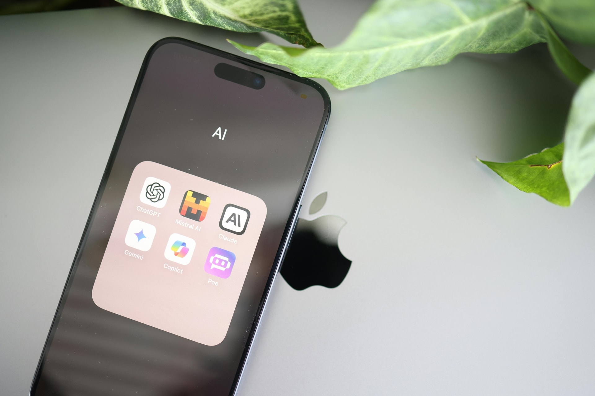 Hình 1 lựa chọn 1 - nguồn Pexels