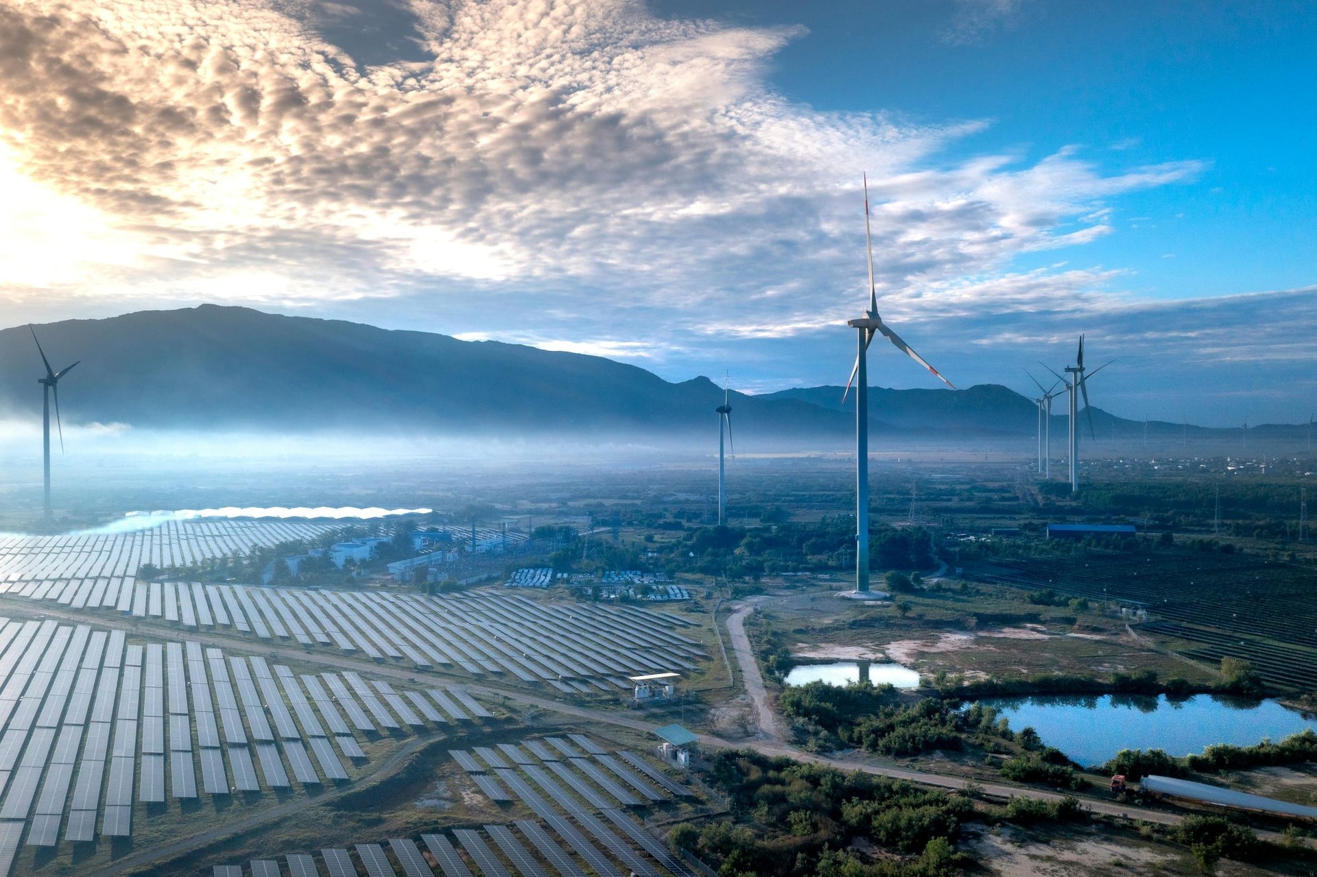 Hình 1 nguồn Pexels (1)