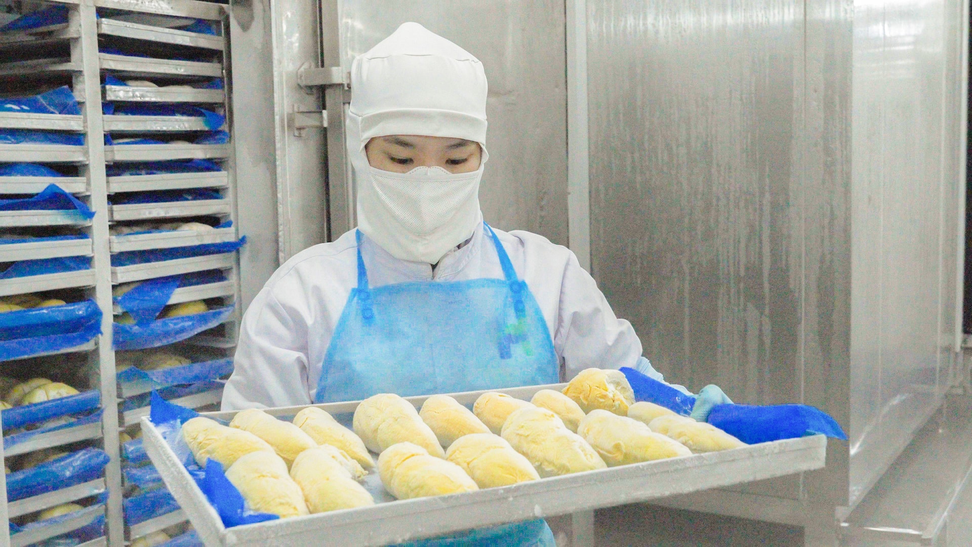 Chế biến sầu riêng đông lạnh xuất khẩu tại Công ty Cổ phần Thực phẩm Hùng Hậu (HungHau Foods)