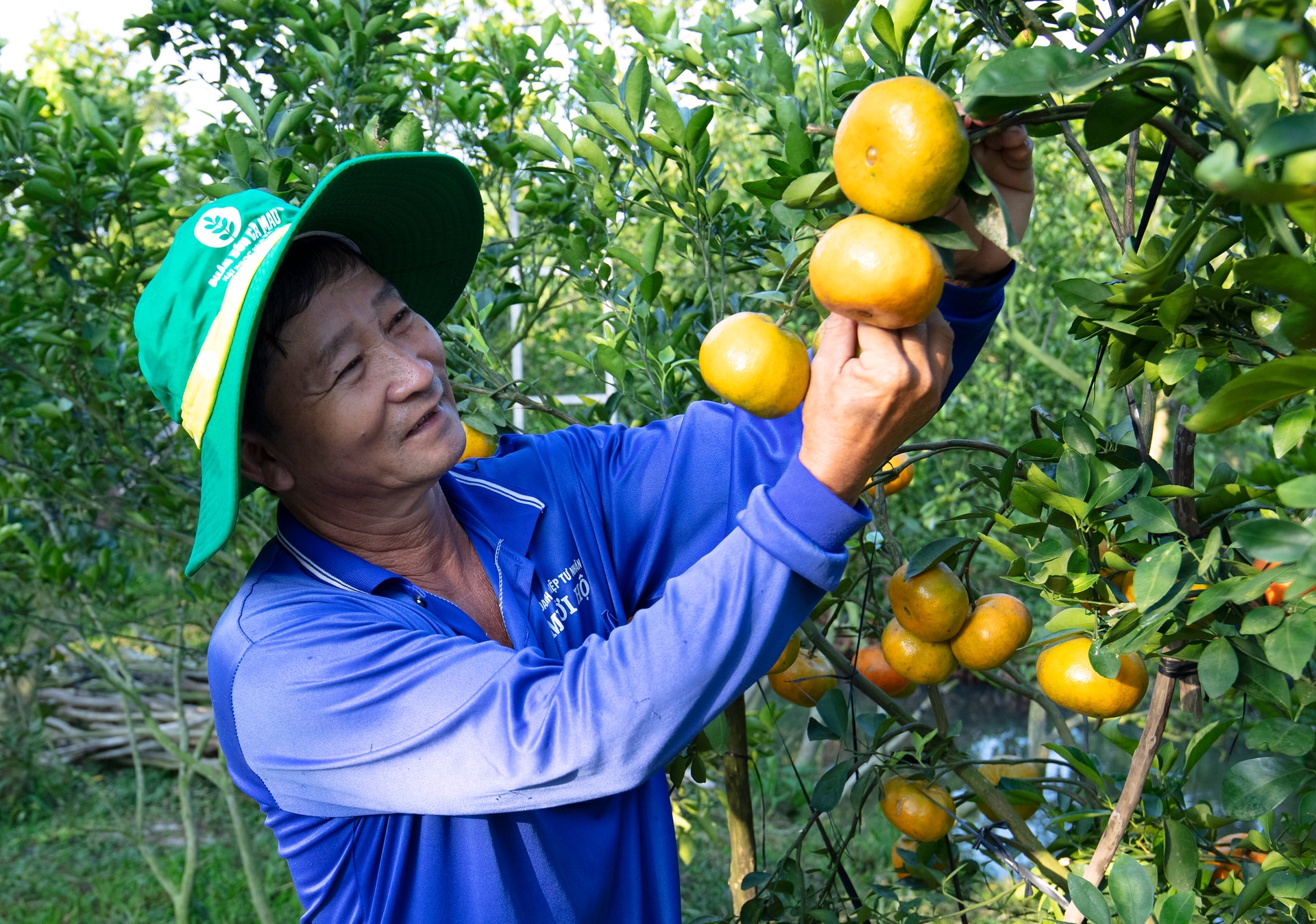 Phân Bón Cà Mau đồng hành cùng nhà nông nâng tầm giá trị bền vững cho nông nghiệp Việt Nam