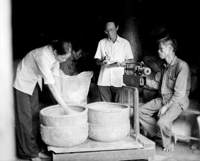 dau-an-cac-ky-dai-hoi-cua-dang-cong-san-viet-nam-dai-hoi-vi-4.jpg
