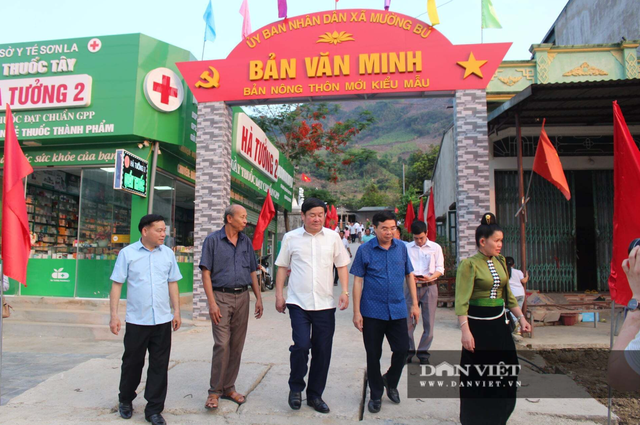 Chủ tịch Hội Nông dân Việt Nam Lương Quốc Đoàn: Phát huy vai trò, sức sáng tạo của nông dân trong kỷ nguyên mới - Ảnh 5.