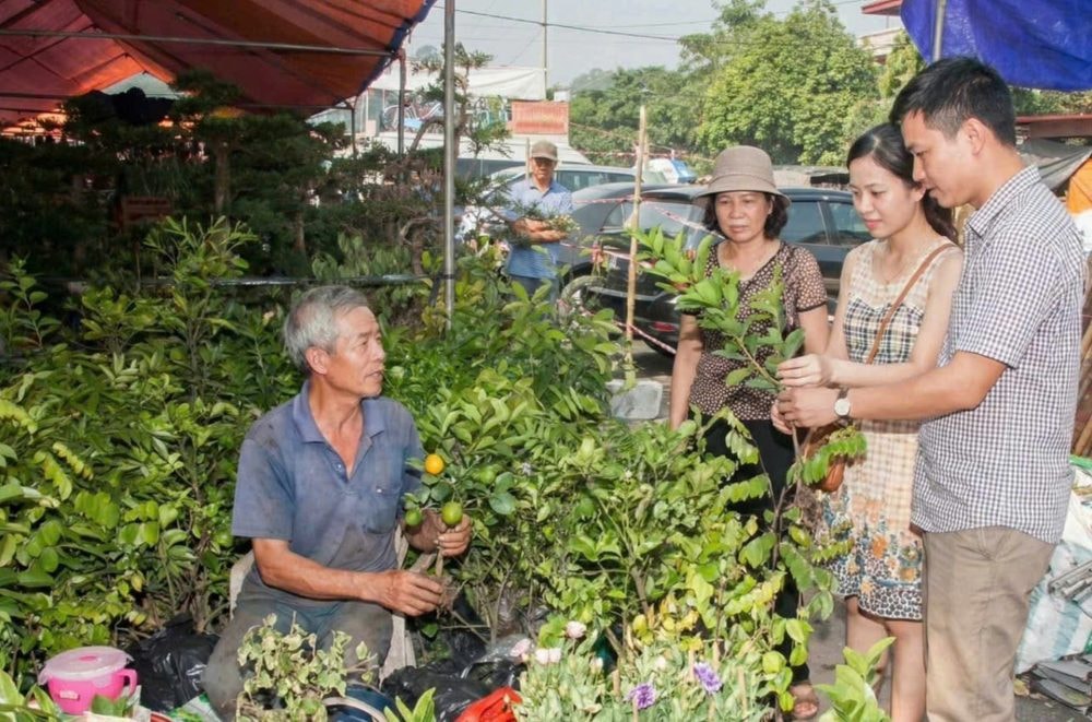 Lễ hội Chợ Viềng Xuân 2026 lần đầu tổ chức trọn vẹn 3 ngày