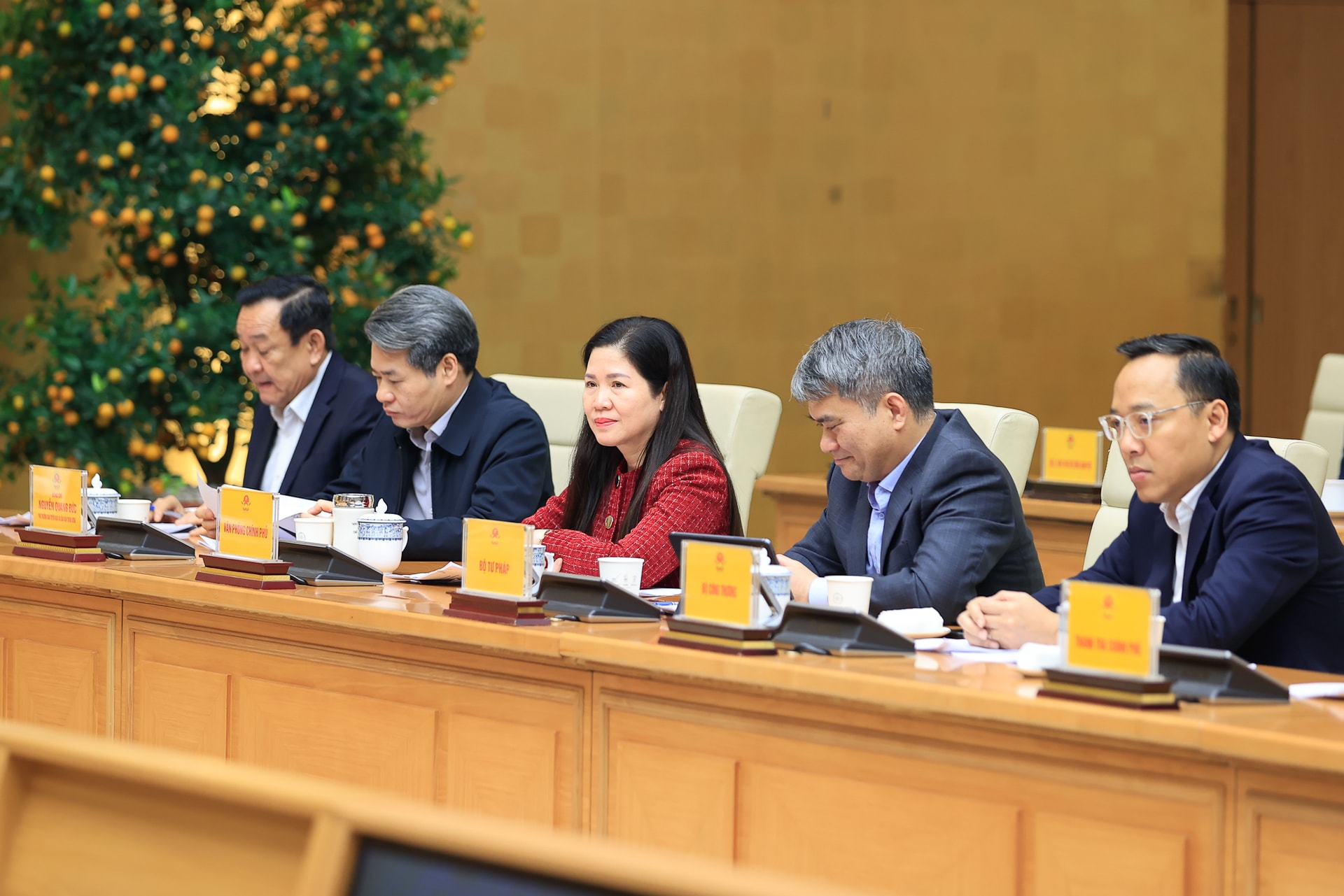 Thủ tướng chủ trì phiên họp thứ nhất Ban Chỉ đạo triển khai Nghị quyết số 79-NQ/TW về phát triển kinh tế nhà nước- Ảnh 3.