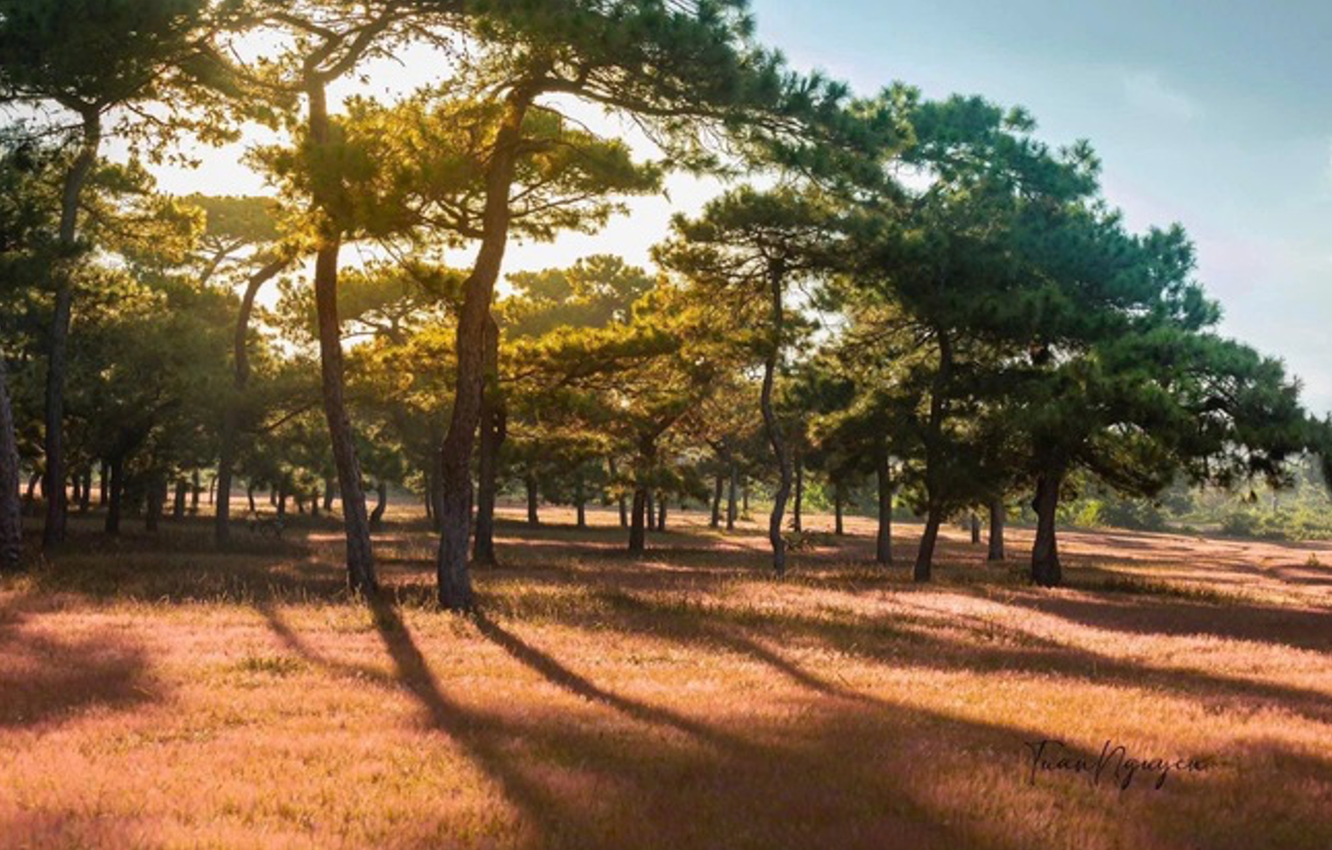 Ảnh màn hình 2026-02-04 lúc 19.38.30