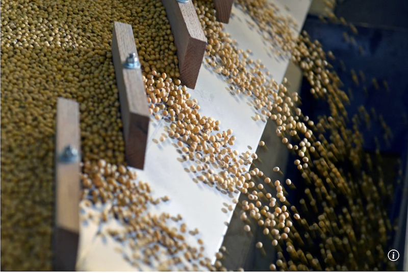 Ảnh màn hình 2026-02-04 lúc 21.16.12