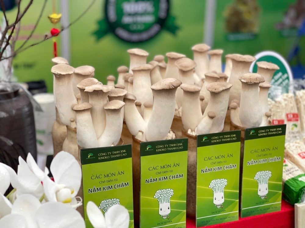 Hơn 200 kg nấm sạch tiêu thụ sau hai ngày tại Hội chợ Mùa Xuân 2026