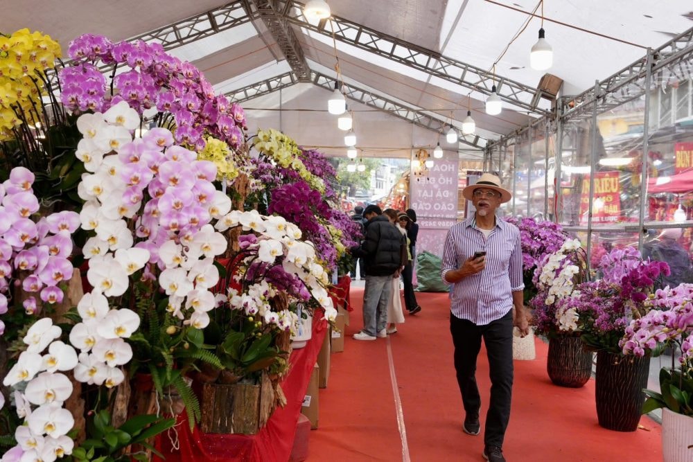 17809290363326842 (1)