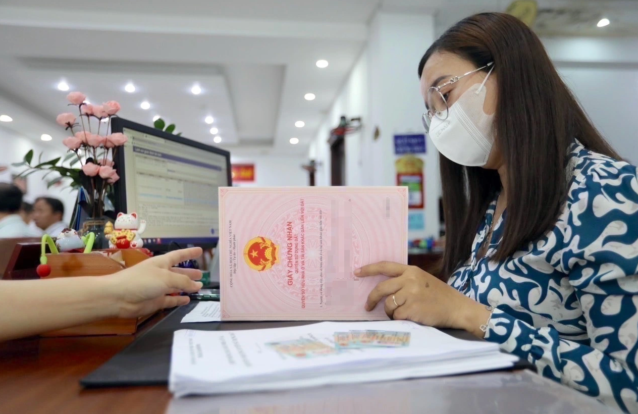 Ảnh màn hình 2026-02-11 lúc 15.29.05