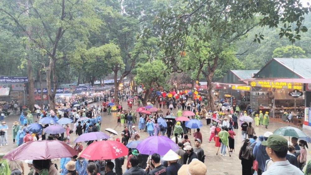 Screenshot 20260225 075542~2