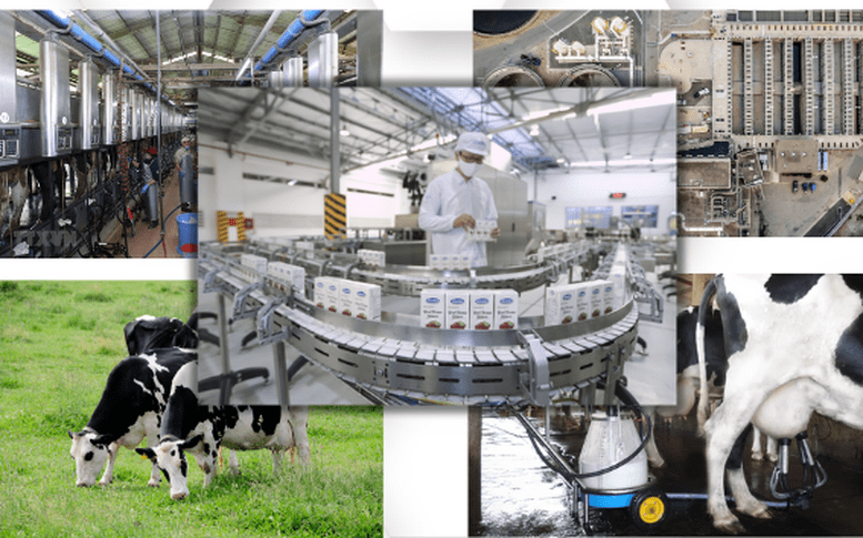 Edit 3 1771924053505734315056 895ba[2]