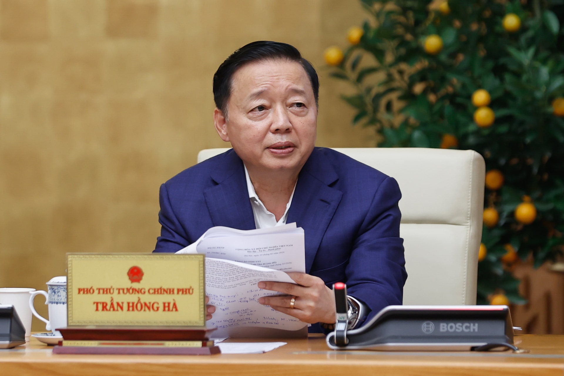 Phó Thủ tướng Chính phủ Trần Hồng Hà phát biểu