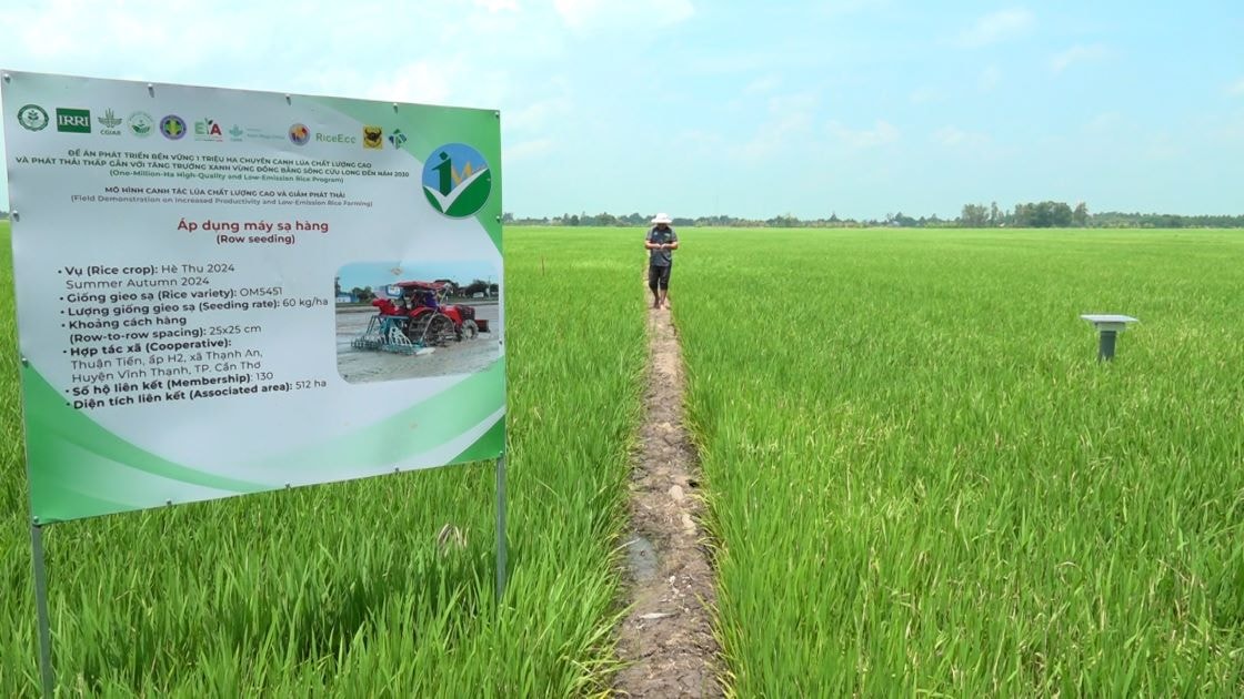 Tài sản vô hình nâng cao giá trị xuất khẩu nông sản