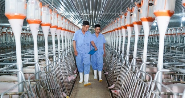 Doanh nghiệp niêm yết đón đầu chu kỳ tăng trưởng mới