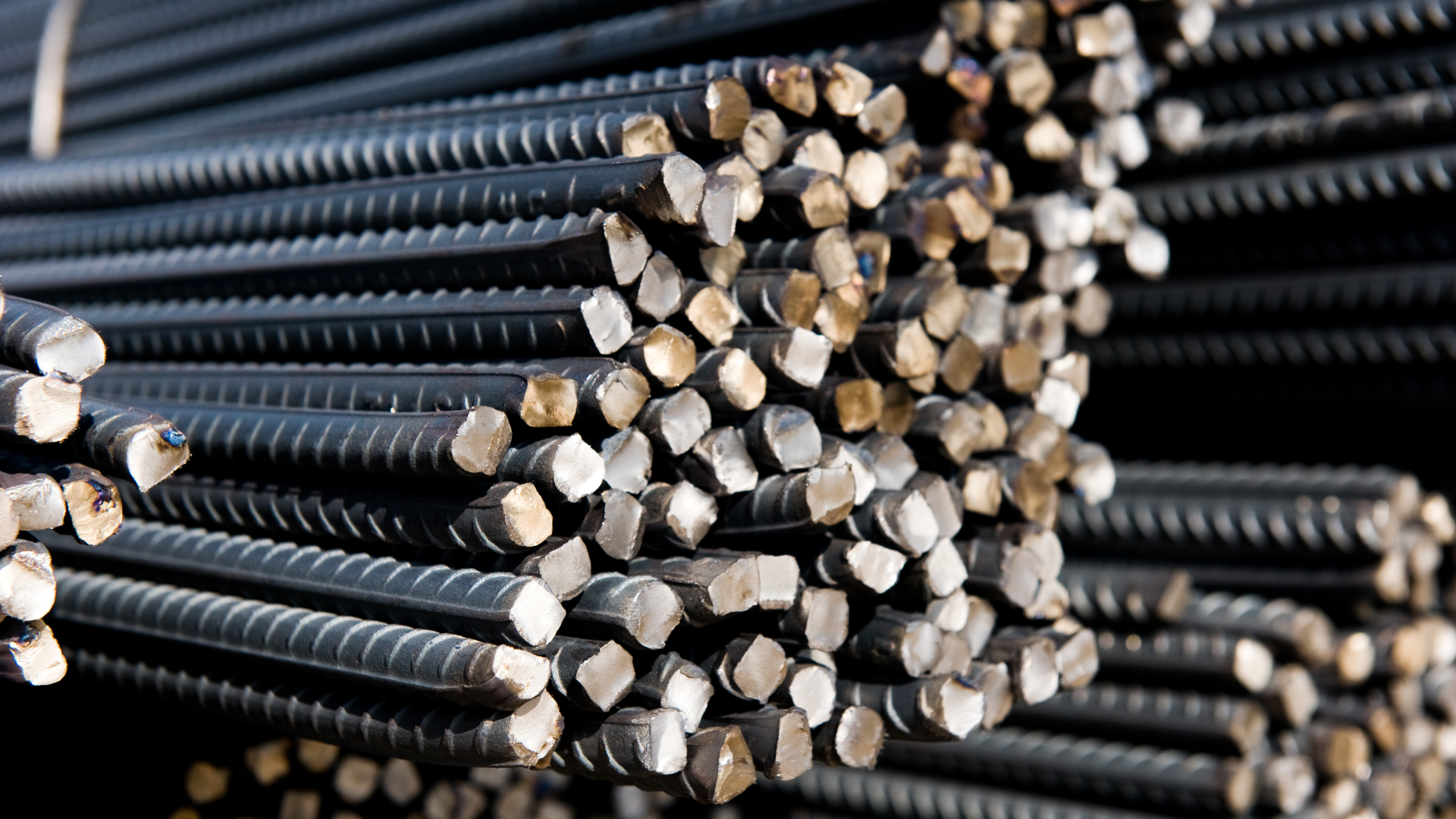 Thiết kế chưa có tên (1)