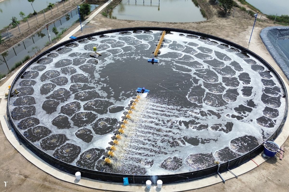 Tối ưu hóa vận hành và chi phí ngành tôm bằng AI