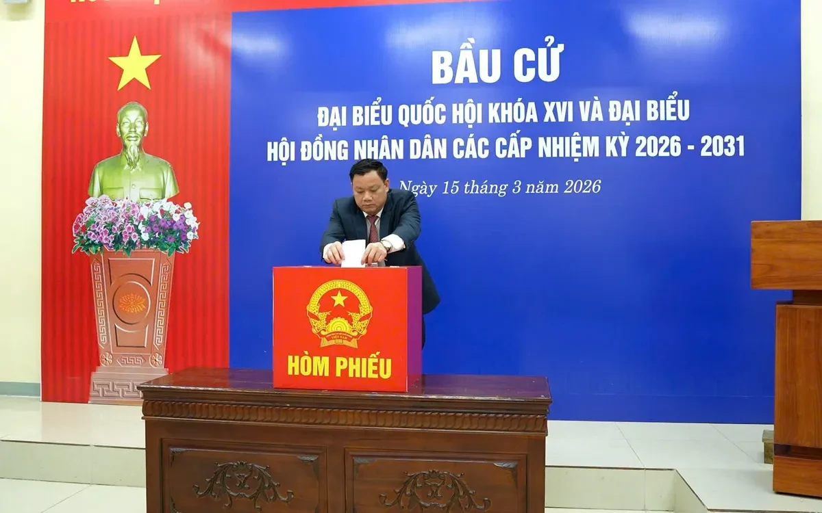 Nghệ An công bố danh sách 85 đại biểu trúng cử HĐND tỉnh nhiệm kỳ 2026-2031