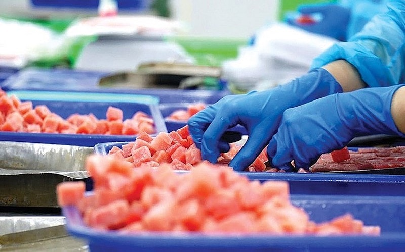 Doanh nghiệp xuất khẩu cá ngừ nâng cao năng lực cạnh tranh