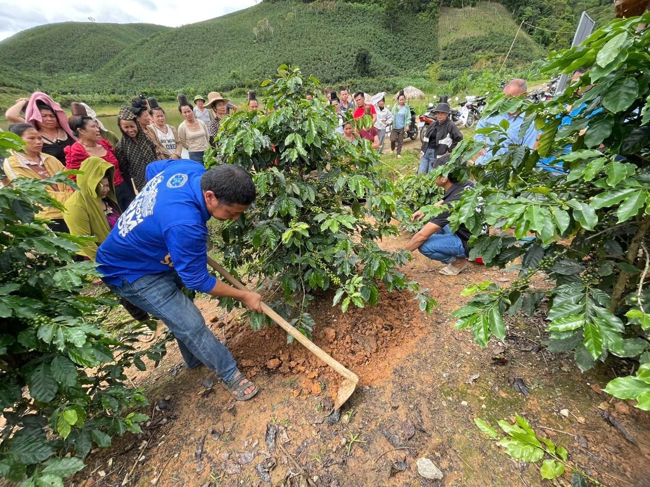 Công nghệ số vào truy xuất nông sản, hỗ trợ mục tiêu kim ngạch 100 tỷ USD