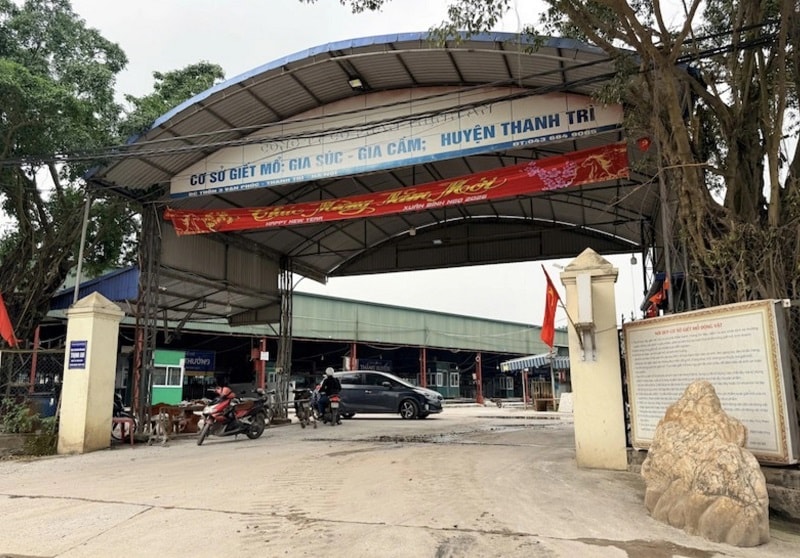 Cuốn sổ “ăn chia” và cơ chế “làm luật” phía sau 300 tấn lợn bệnh