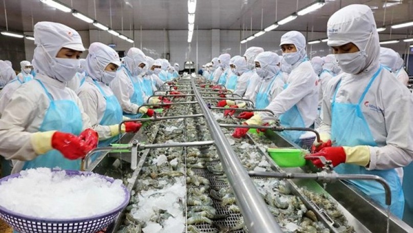 shrimp-industry-optimises-advantages-fornbsp-development-1680319425.jpg