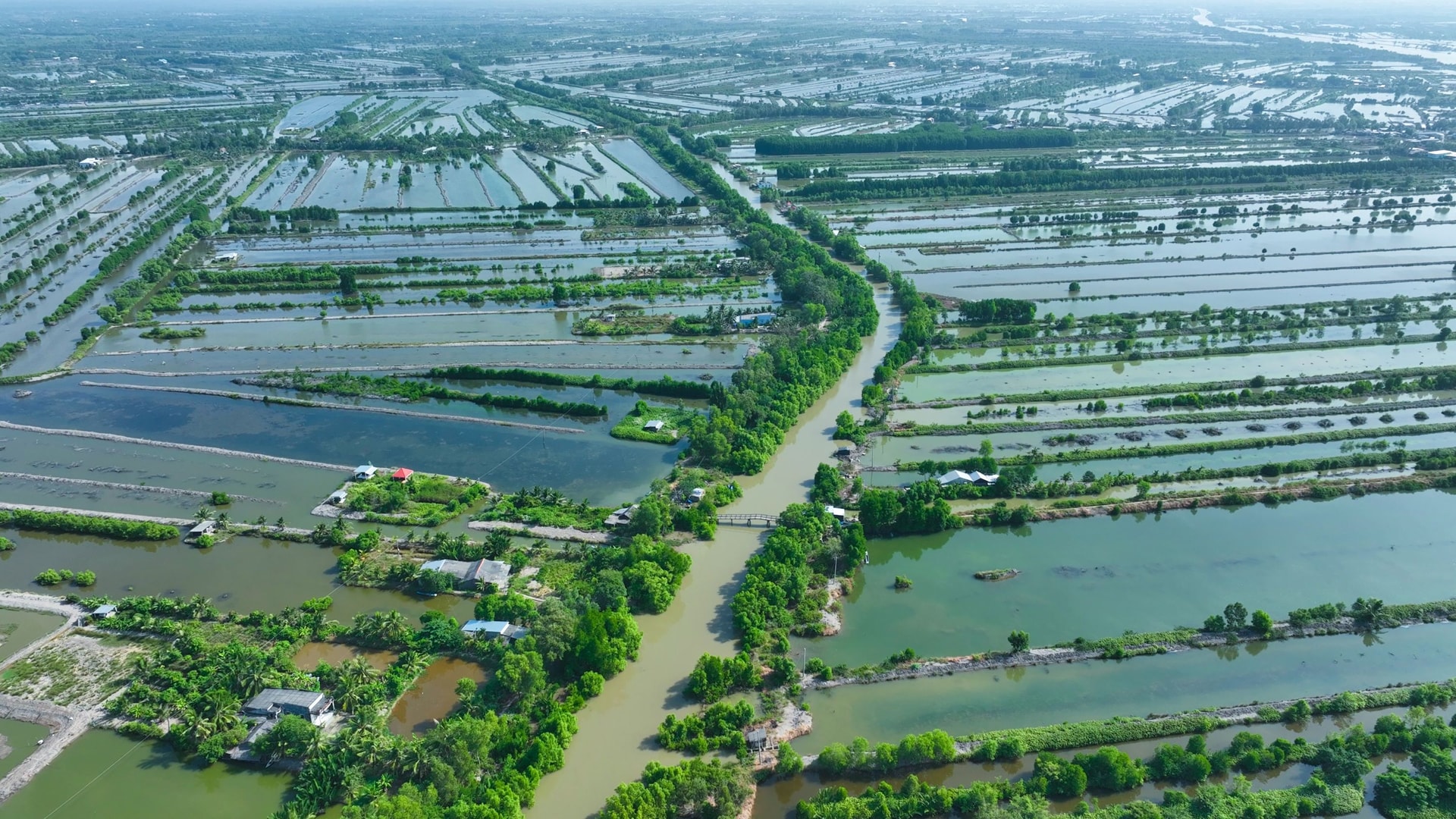 ảnh vũng ven biển cà mau (1)