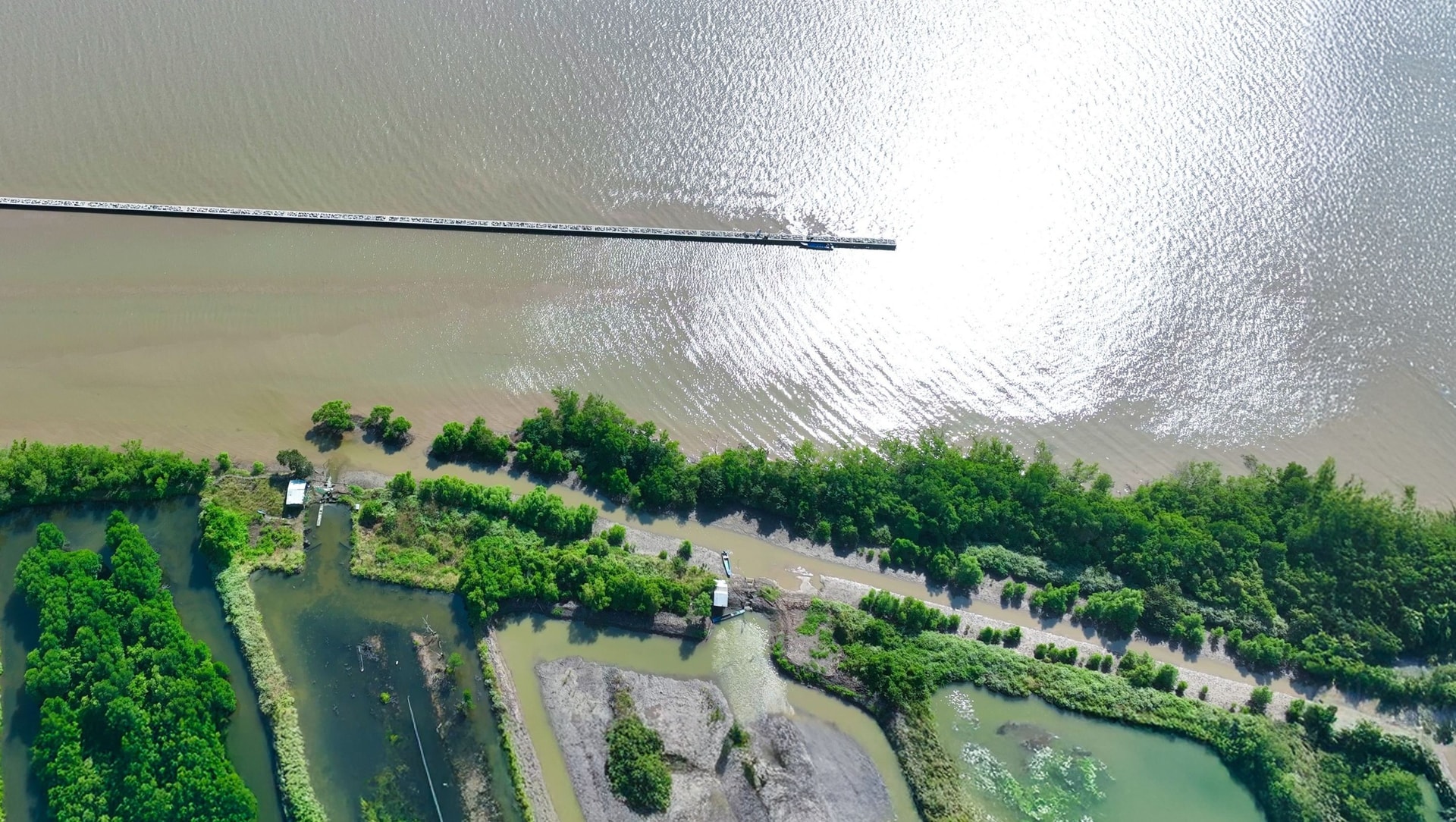 ảnh vũng ven biển cà mau (4)