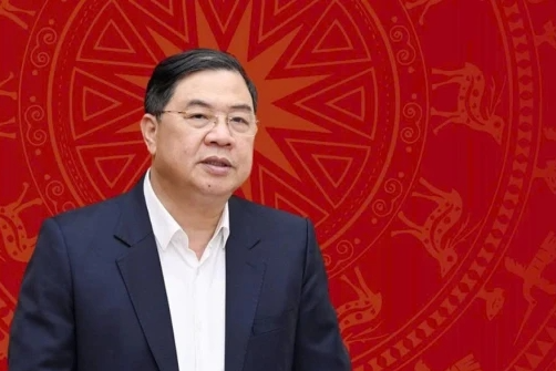 Phân công công tác của Thủ tướng và các Phó Thủ tướng Chính phủ- Ảnh 3.