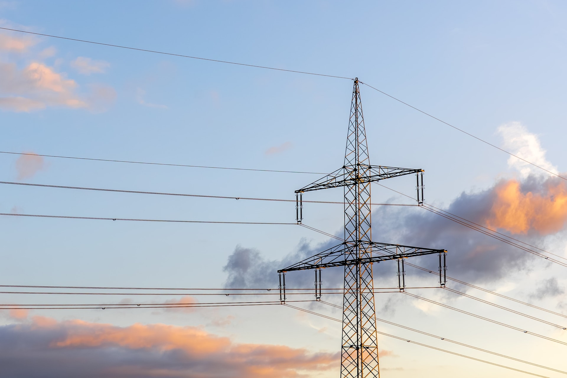 Hình 2 (nguồn Freepik) (1)