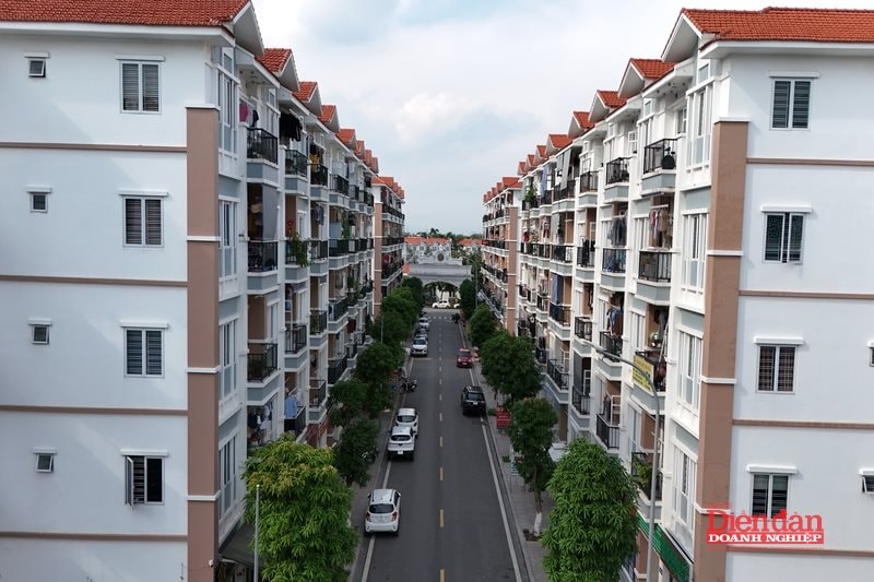 DJI_20240612155323_0718_D (1)