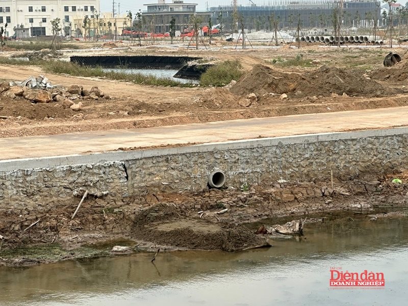 Hải Phòng: Siết kỷ cương đất đai, đầu tư qua 68 cuộc thanh tra