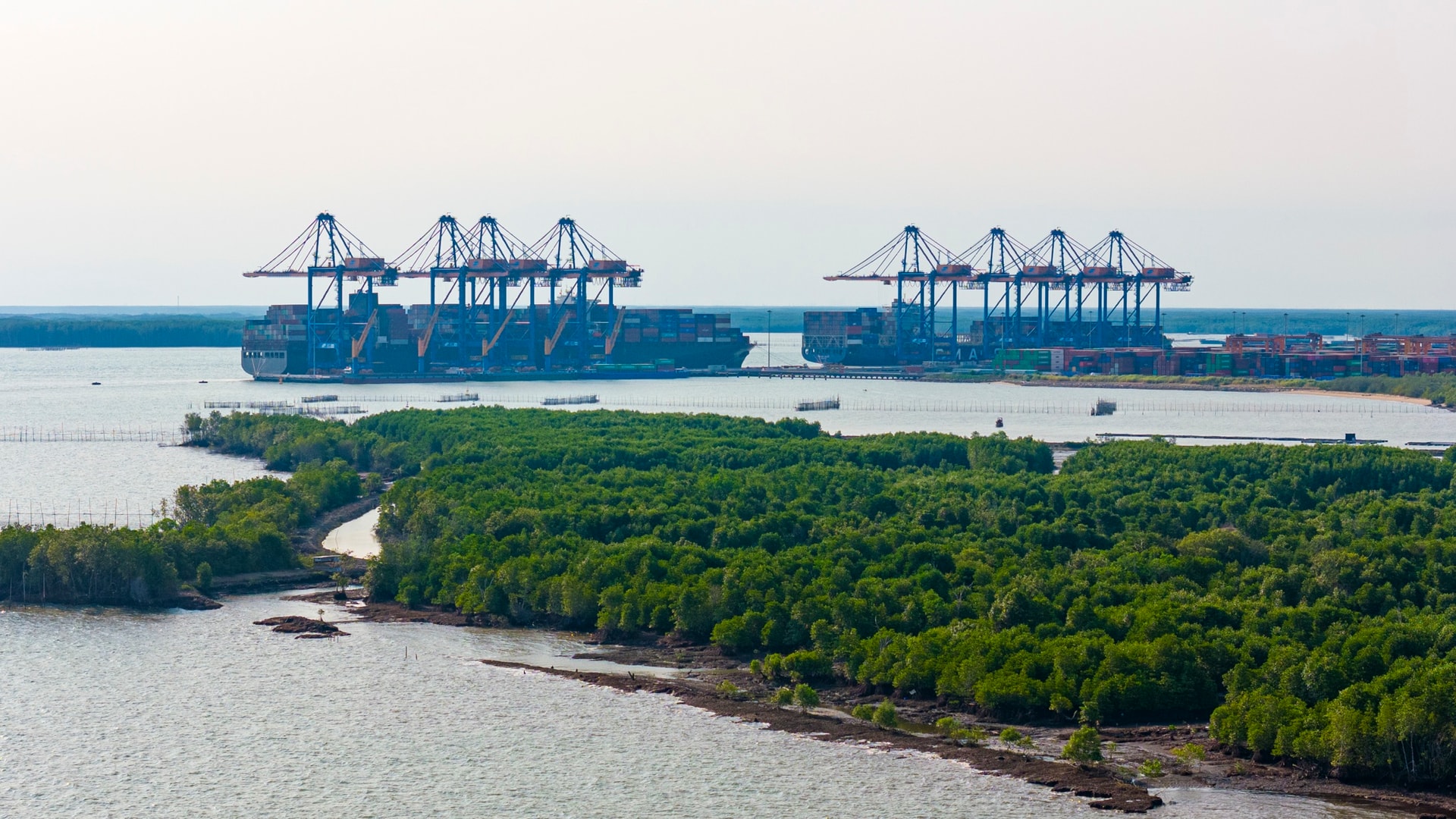 cang cai mep ha anh 10