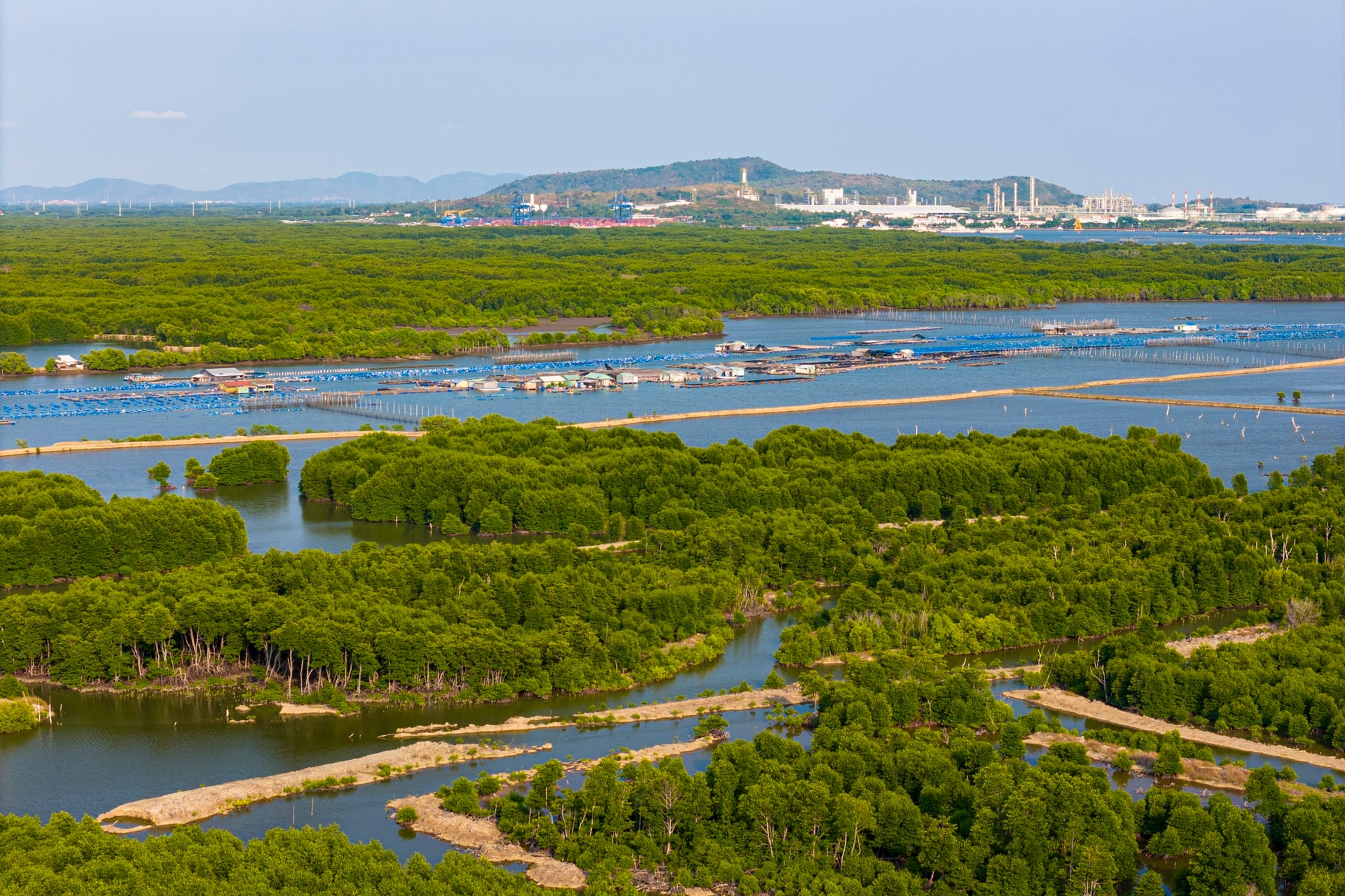 cang cai mep ha anh 14