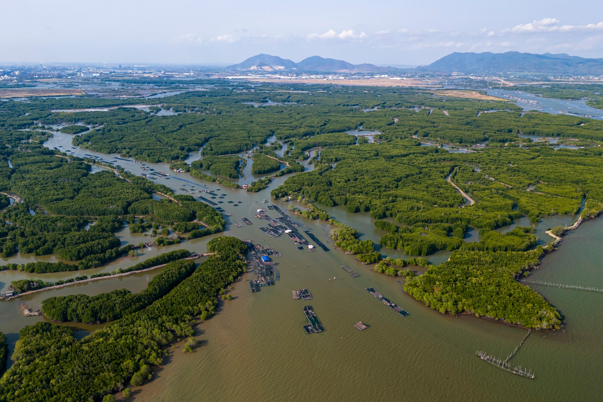 cang cai mep ha anh 8