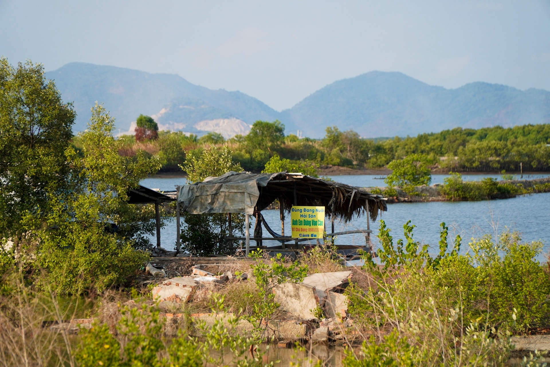 cang cai mep ha anh 6