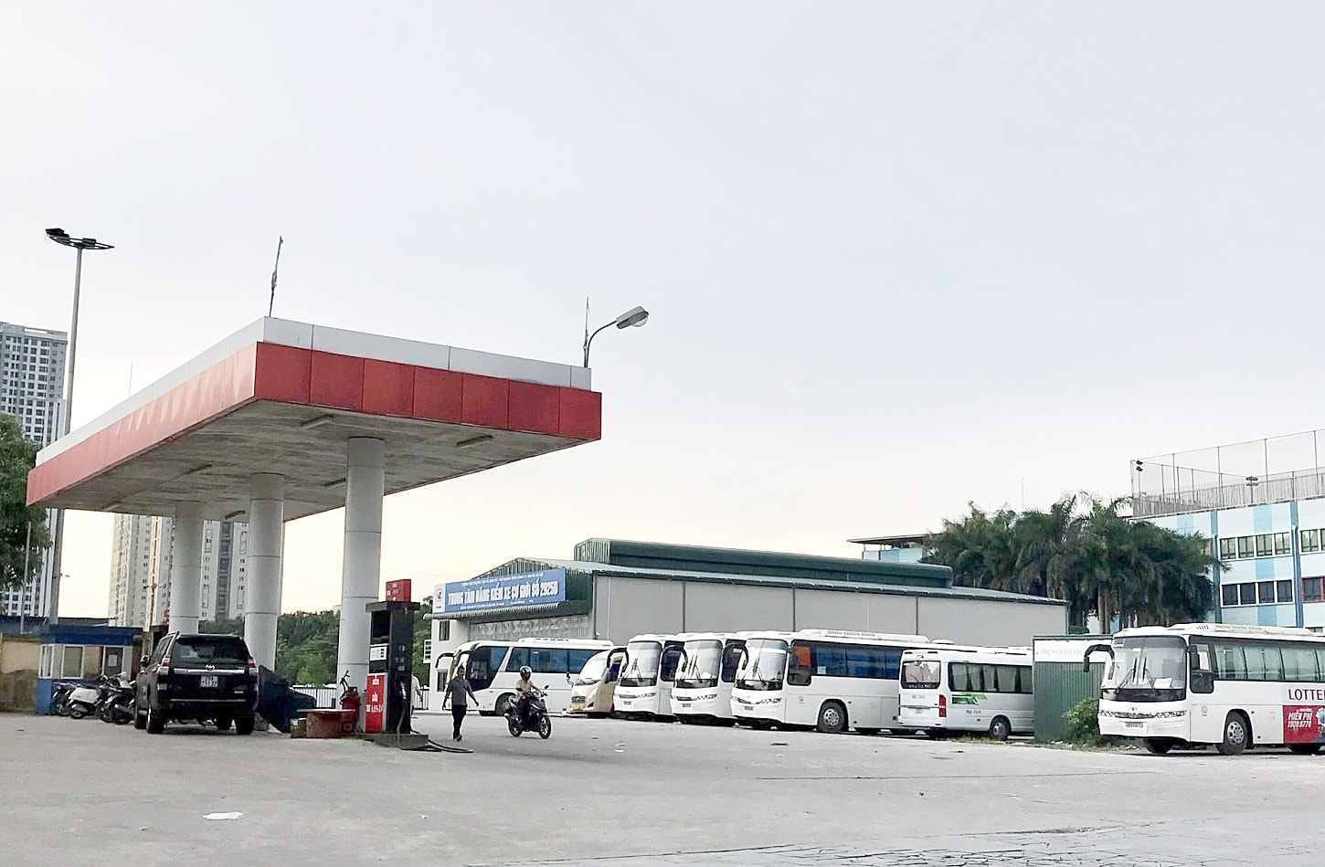 congluan-cdn.congluan.vn-files-content-2022-08-08-_hinh-anh-nhung-khu-dat-vang-cua-ong-trum-xe-buyt-transerco-065339459.jpg