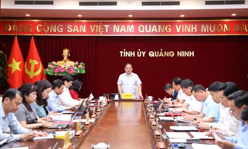 2504528_55_quang_canh_13074605.jpg