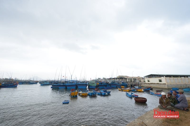 sua-luat-moi-truong-bien-hai-dao-7.5.1.jpg