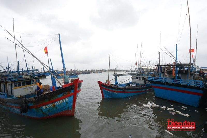 sua-luat-moi-truong-bien-hai-dao-7.5.2.jpg