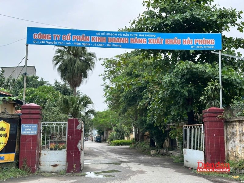 Công ty CP Kinh doanh hàng xuất khẩu Hải Phòng được triển khai thí điểm&nbsp;trên diện tích hơn 2,6ha đất sản xuất kinh doanh hiện có của doanh nghiệp tại số 746 Nguyễn Văn Linh, phường An Biên