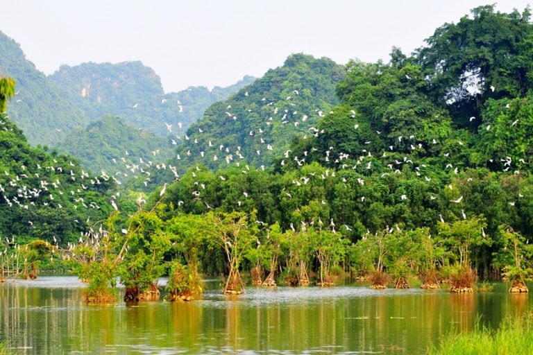vuon-chim-thung-nham-768x512.jpg