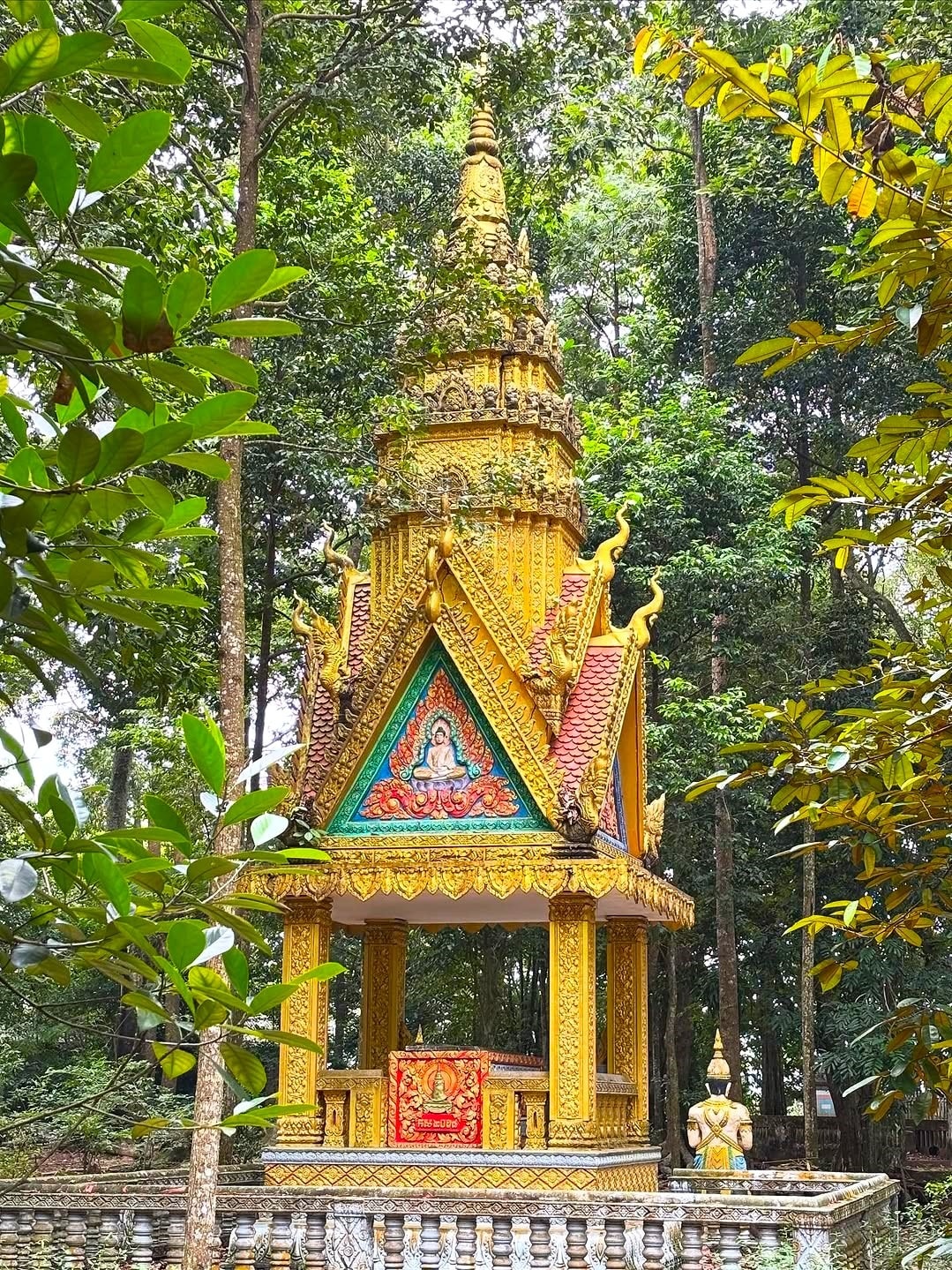 Heo 5 mong anh 16