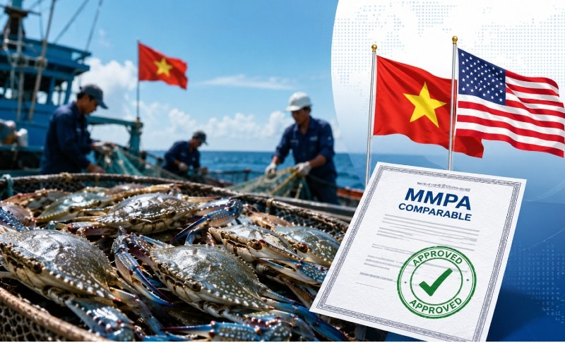 Doanh nghiệp ngành ghẹ Việt rộng cửa trở lại thị trường Mỹ