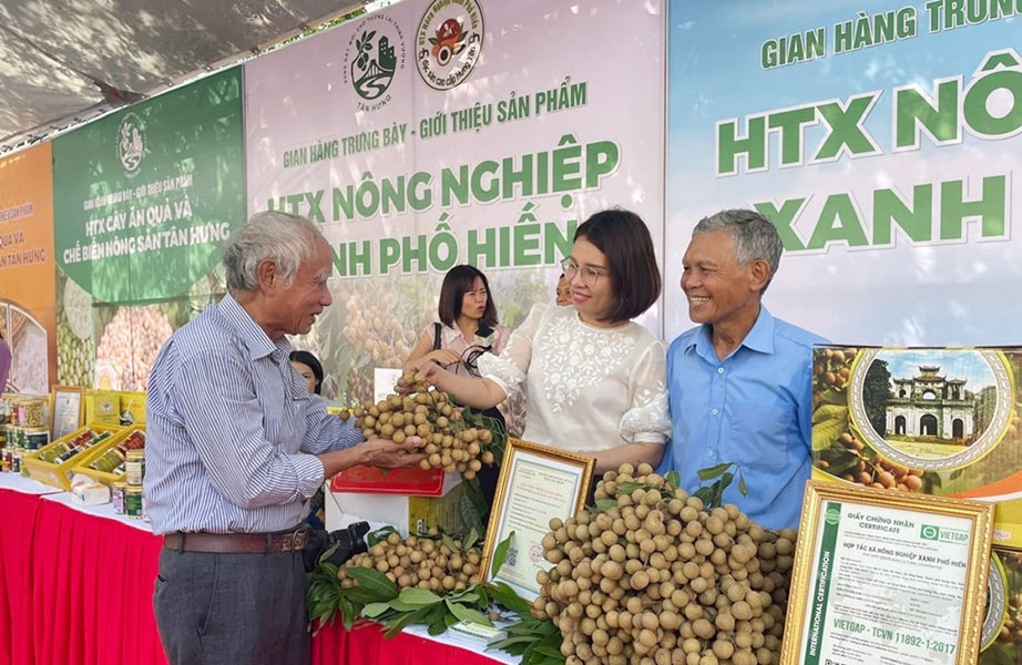 nhãn lồng