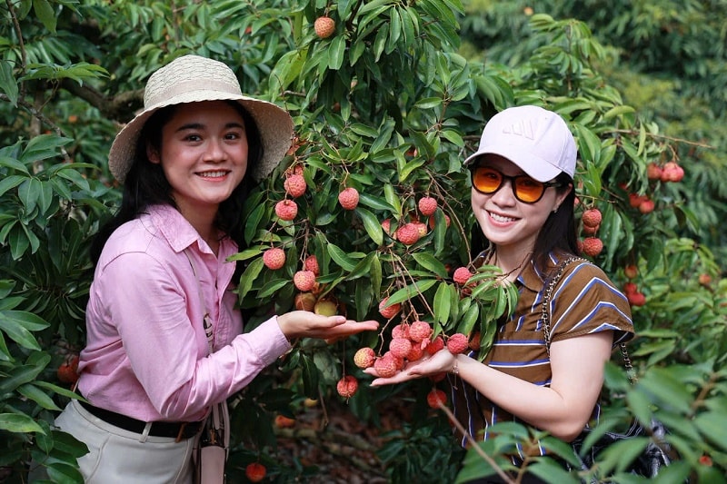 “Thỏi nam châm” mới của du lịch Hải Phòng