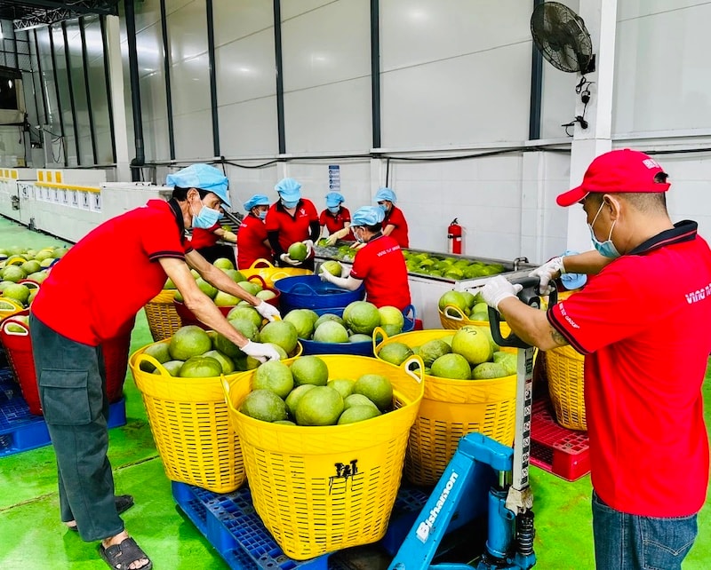 Bản sao cfa306952ff1aeaff7e0-1776048199371807284140