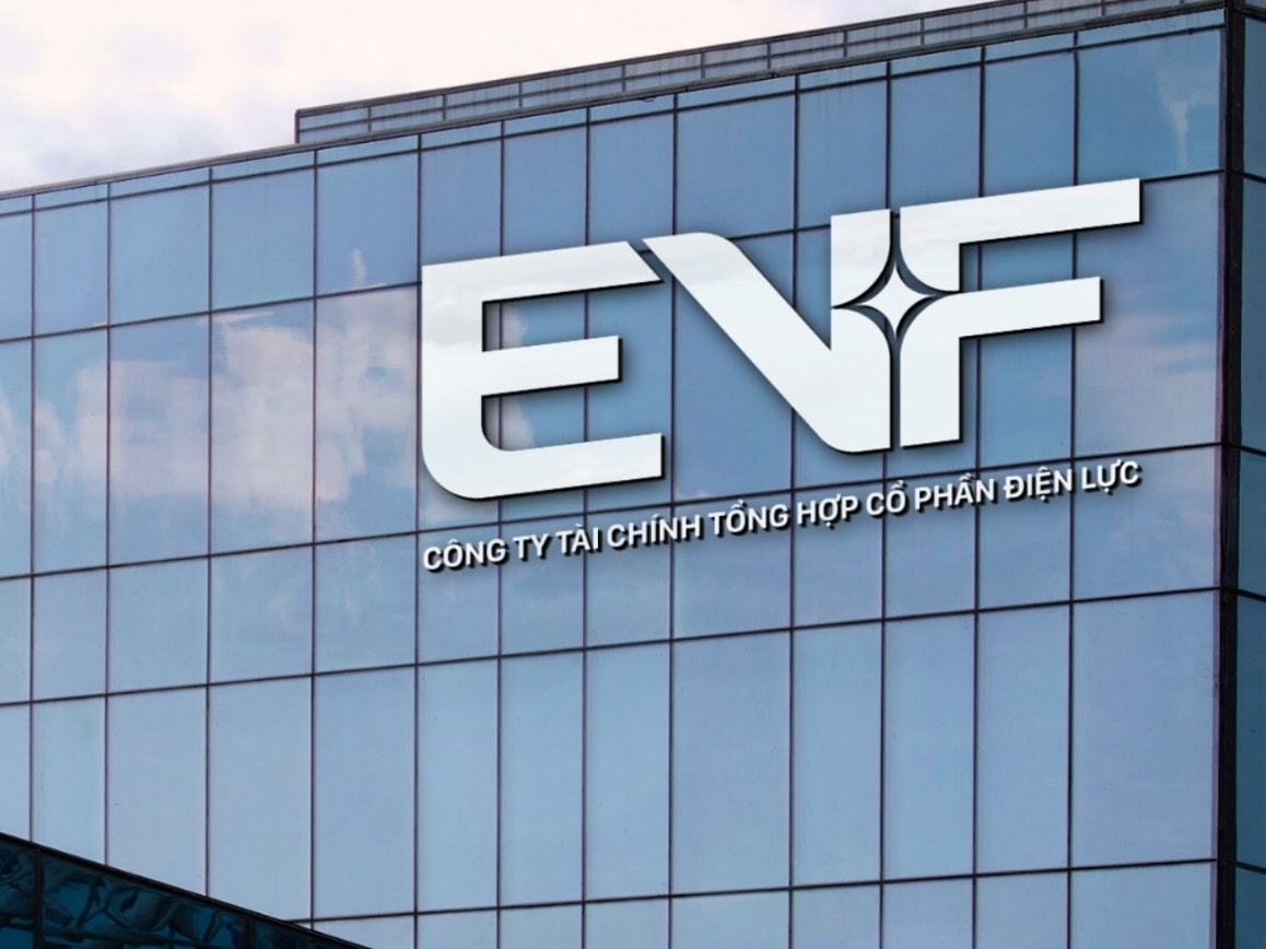evf.jpg