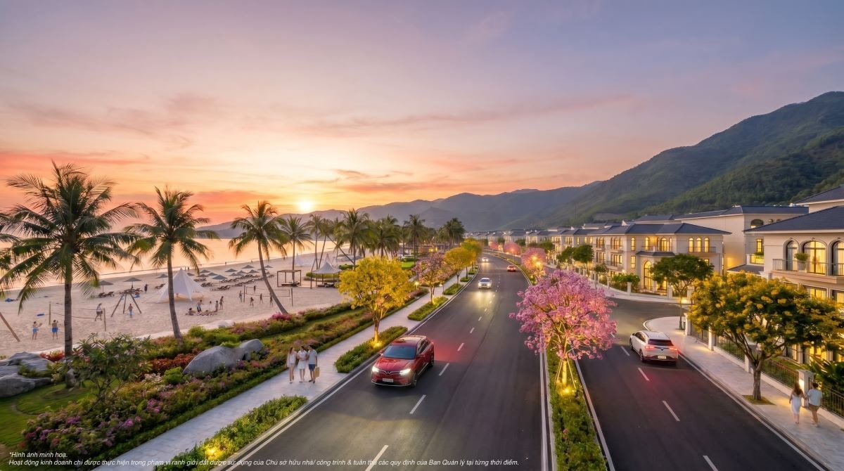 A3 (17)