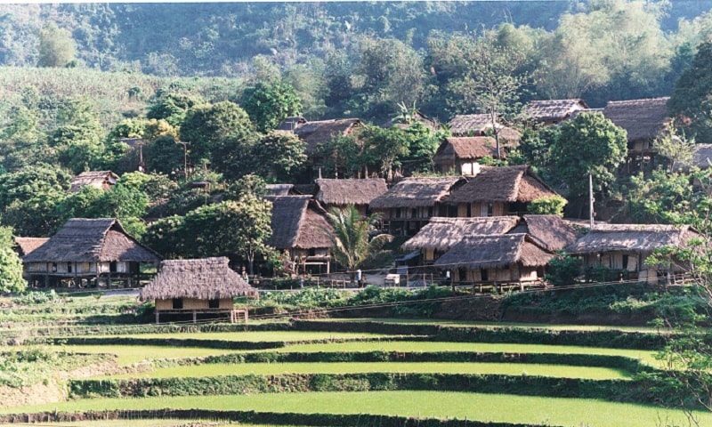 ADUNG_10 (1)